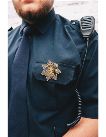 ����� ������������ &mdash; ����������