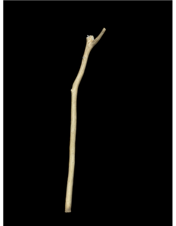 ������  &mdash; ����������